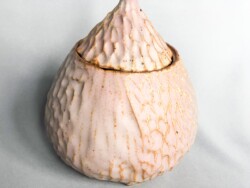“Oatmeal Honey Pot,” Stoneware, Oatmeal Glaze, Gas Reduction Fired, Height: 5in Width: 4.25in Length: 4.5in Weight after firing: 1lbs 5oz, February 2020